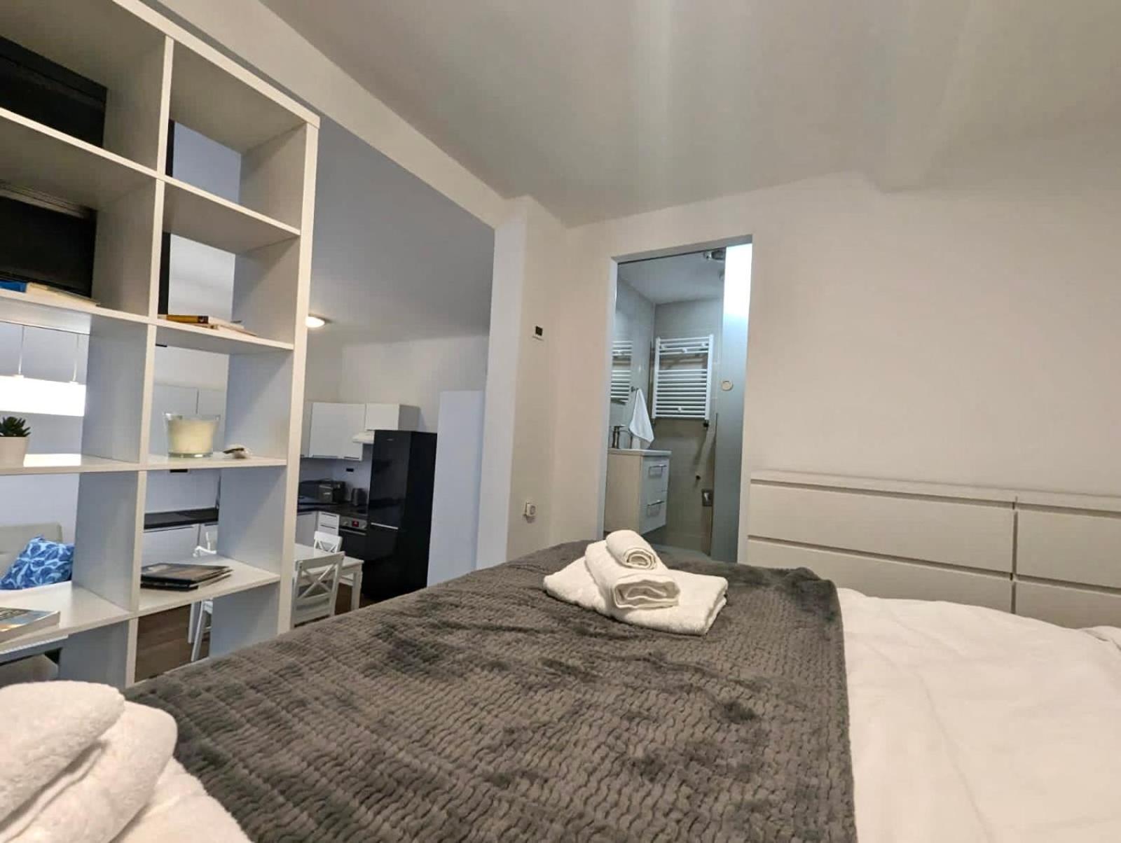 Fantabulous Downtown Abode W King Bed, 65" Tv, Washer And Tumble Dryer 萨格勒布 外观 照片