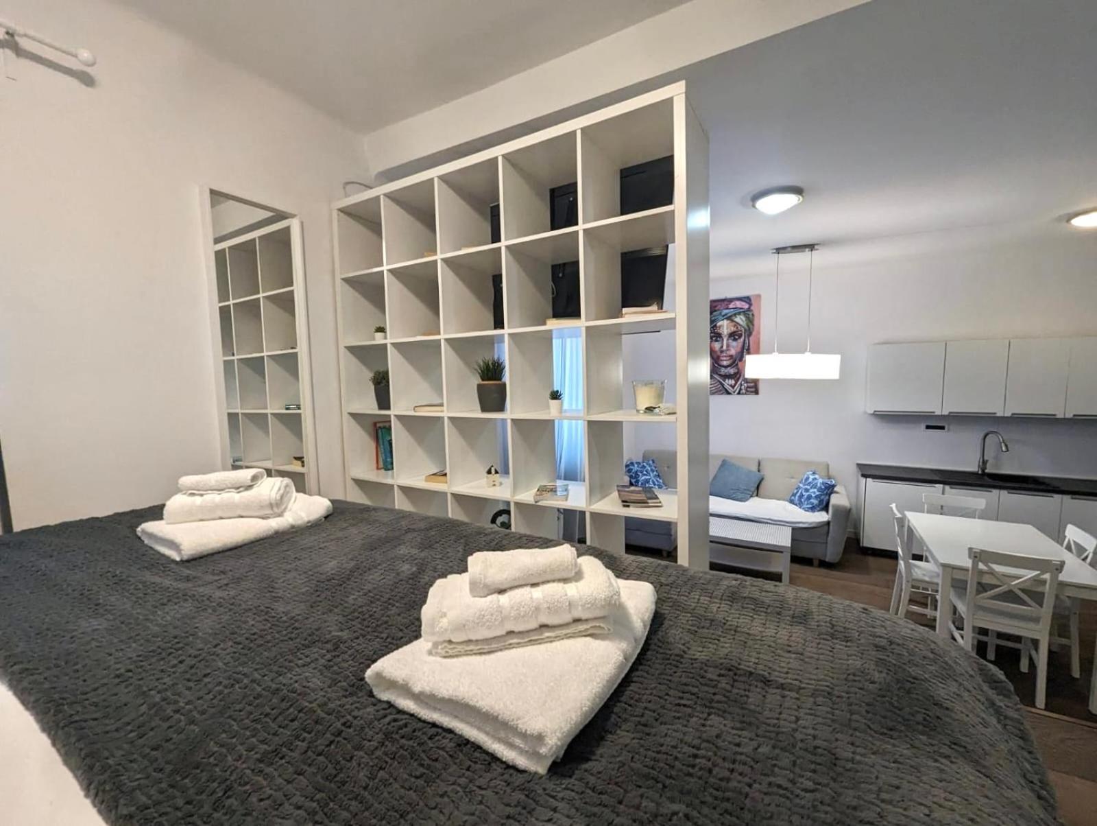Fantabulous Downtown Abode W King Bed, 65" Tv, Washer And Tumble Dryer 萨格勒布 外观 照片